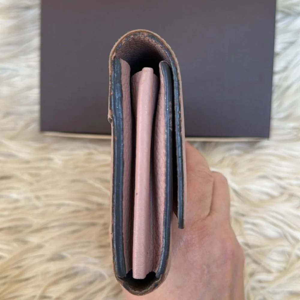 Louis Vuitton Taurillon leather Capucines LV signature wallet